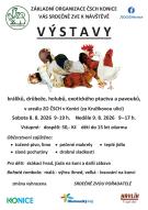 Výstava